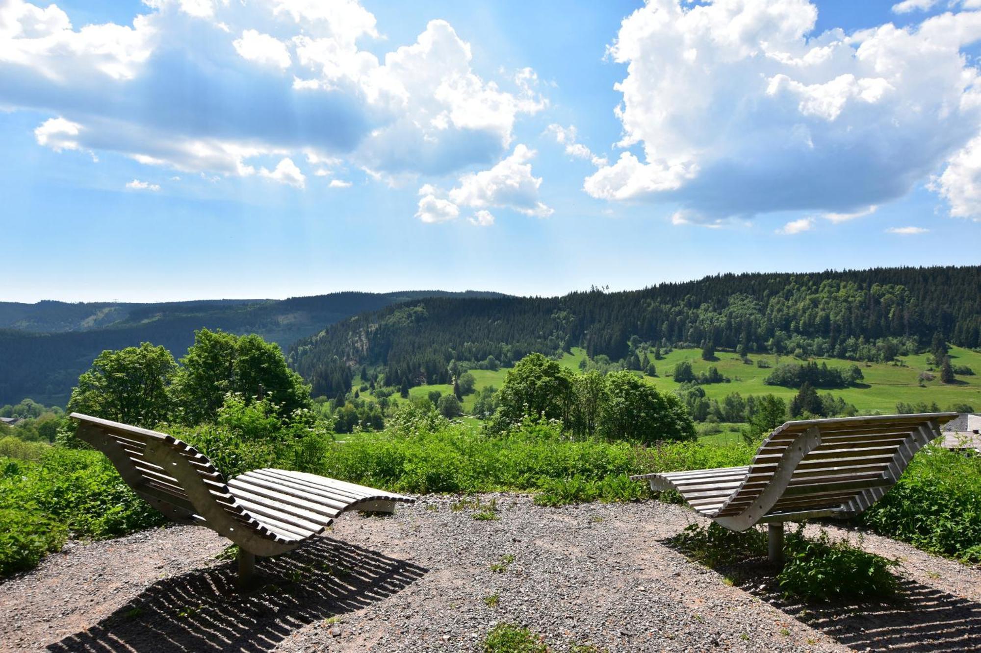Schwarzwaldhaus Krebs - Villa Kunterbunt, Lenzkirch, Feldberg Buitenkant foto